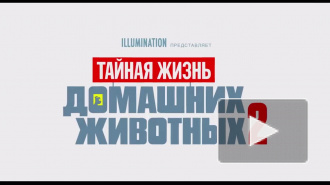 Вышел новый трейлер мультфильма "Тайная жизнь домашних животных 2"