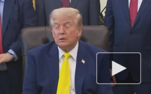 Трамп: встреча Путина и Зеленского стала бы отличным развитием событий