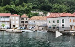 В Черногории раскрыли сроки открытия границ для россиян