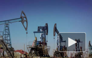 Минэнерго США допустило удорожание нефти до 183 долларов за баррель