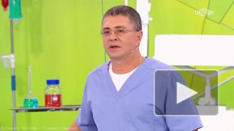 Мясников перечислил полезные и доступные продукты