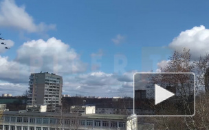 В небе над Петербургом заметили военные самолеты