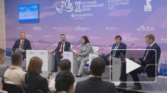 В России появится цифровая платформа закупок для учебных заведений