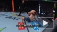 Появилось видео яркого нокаута Романа Долидзе на UFC Fig...