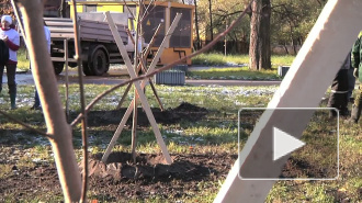 Дело благое. 30 молодых саженцев высадили волонтеры у детского хосписа в парке Куракина дача.