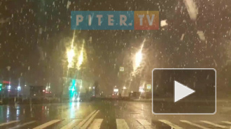 Видео: в ночь на вторник Петербург замело мокрым снегом