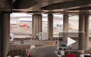 Петербуржцы пытались незаконно ввезти в Россию 155 килограммов сыра и 143 килограмма колбасы