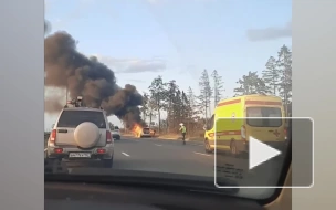 На Киевском шоссе в Петербурге сгорел BMW