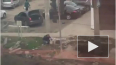 Видео: наглый лысый мужик воровал тротуарную плитку ...