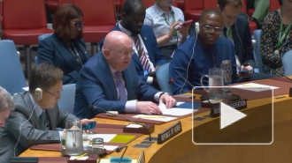 Небензя: присутствие представителя МУС в стенах Совбеза ООН не имеет смысла