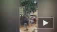 В Бразилии из-за осадков и оползней погибли 19 человек