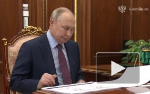 Путин на встрече с Развожаевым отметил бесстрашие жителей Севастополя