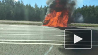 Появилось видео из Петербурга: на трассе "Скандинавия" горит авто