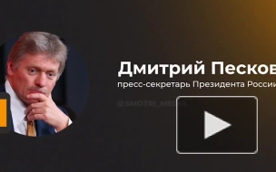 Песков сообщил, что контакты Путина и Макрона пока не планируются