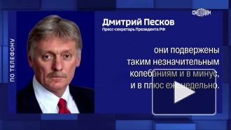 В Кремле прокомментировали высокое доверие россиян Путину