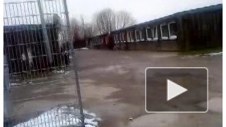 Чеченцы массово бегут в Германию, спасаясь от Кадырова