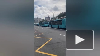 Общественный транспорт на юге Петербурга следует с 40-минутными задержками