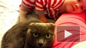 ВЛОГ Смешное видео про кошку, Даша и Бусильда)) Видео для детей, детский канал