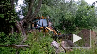 Очевидец заснял, как трактор свозит мусор со строящегося дома на Старо-Гостилицком шоссе