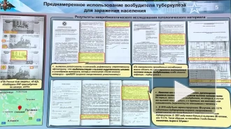 МО: распространенные в ЛНР фальшивые деньги заразили устойчивым к лекарствам туберкулезом
