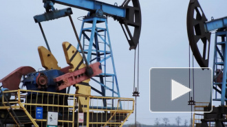 Лукашенко: Белоруссия готова закупать нефть в России по мировым ценам