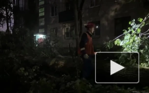Энергетики восстанавливают работу уличных фонарей после шторма в Петербурге и Ленобласти