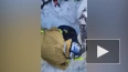 Подмосковные спасатели вытащили из-под рухнувшей крыши г...