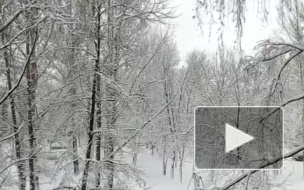 Воронеж накрыло мощным снегопадом