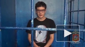В Подмосковье задержали москвича, забравшего у пенсионера полмиллиона рублей