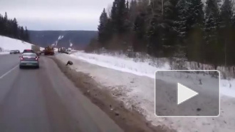 Видео жуткого ДТП, унесшего три молодые жизни в Пермском крае