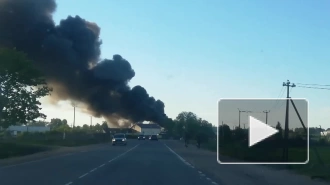 Петербуржцы заметили пожар недалеко от посёлка Бугры