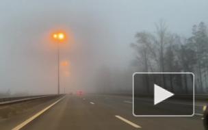 Из-за тумана в Ленобласти объявлено штормовое предупреждение