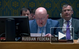 Небензя напомнил СБ ООН историю с увольнением Денисовой за фейки о России