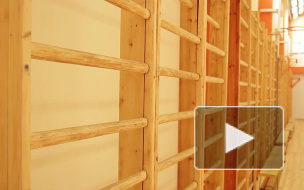 Физрук из Петербурга показывал четверокласснику развратные фотографии