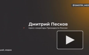 Песков: у Путина не запланированы контакты с Пашиняном