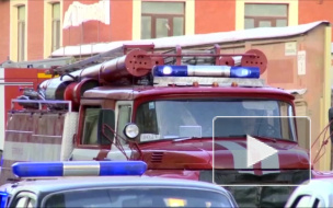 Ночью в Петербурге горело кафе в Александровском парке