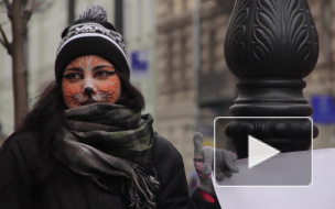 Защитники животных напугали "мехоносцев" страшными рассказами про трупы убитых четвероногих