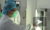 Правительство Сербии запросит у РФ помощь в борьбе с коронавирусом