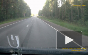 На выезде из массива Дунай-Сады на дорогу выбежал маленький олененок 