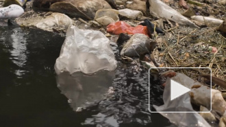 Глава Минприроды рассортировал мусор по проблемам