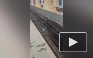 Пассажиры сообщили о затоплении на стации метро "Дунайская"