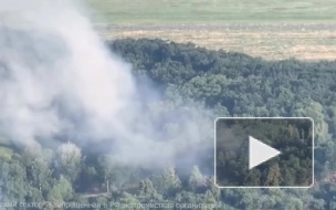 Минобороны РФ: российские военные уничтожили хранилища с боеприпасами в Одесской области