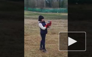 Петербуржцы отпустили на волю сову, которую обижали вороны 