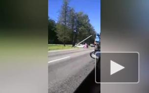 Автомобиль влетел столб на Приморском шоссе 