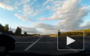 Табун лошадей спровоцировал аварию в Башкирии