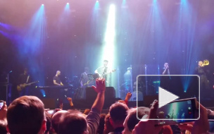 Видео со зрителями Шевчука, вставшими на колени в память о катастрофе А321, попало в Сеть