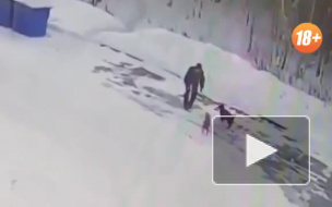 Жуткое видео из Иркутска: мужчина забил насмерть собаку (18+)
