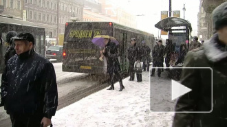 Замело, закружило. Петербург впервые за сезон оказался во власти серьёзного снегопада