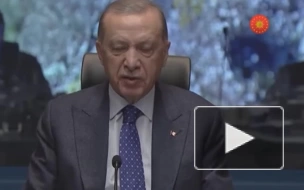 Эрдоган объявил район землетрясения в Турции зоной ЧС