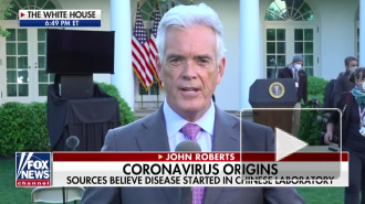 Китай прокомментировал версию о создании коронавируса в лаборатории в Ухане